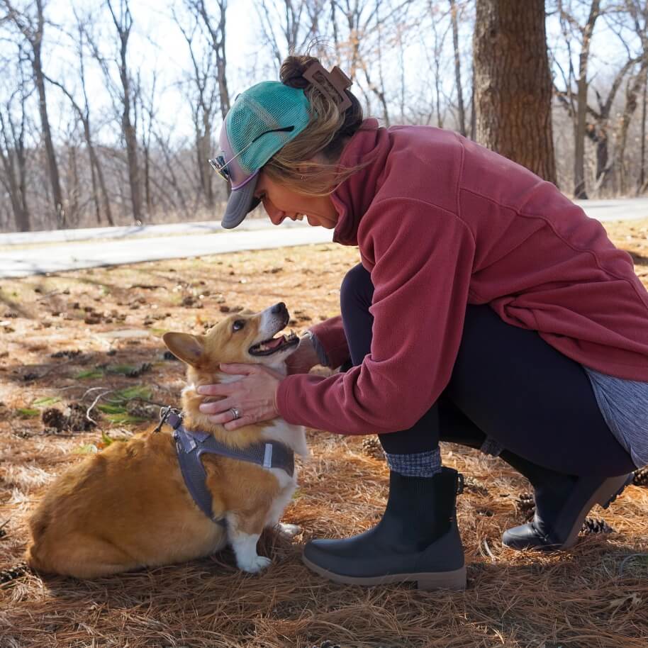 thosetempletoncorgis